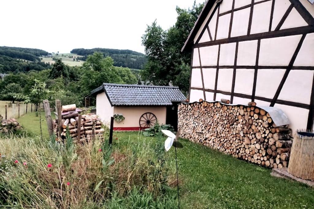 Loft Eifel Idylle Appartement Nettersheim Buitenkant foto